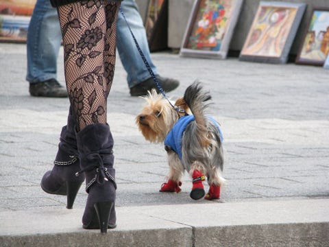 Sjieke meisjes in een straat in Plovdiv Bulgarije