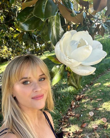 reese witherspoon