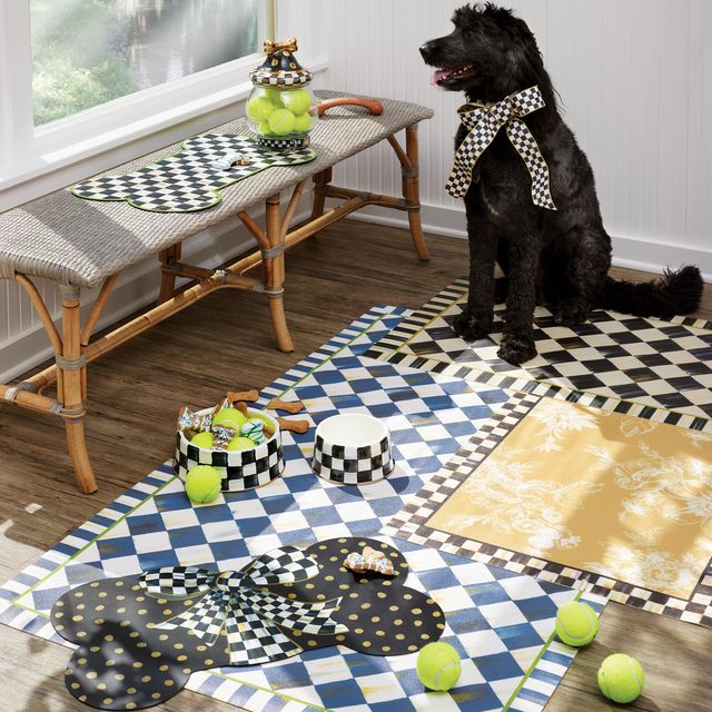 black dog sitting in room surrounded by mackenzie childs dog products