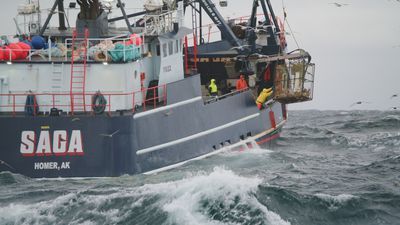 How Much Do Deadliest Catch Deckhands Make? - Deckhand'S Earnings Might  Surprise You