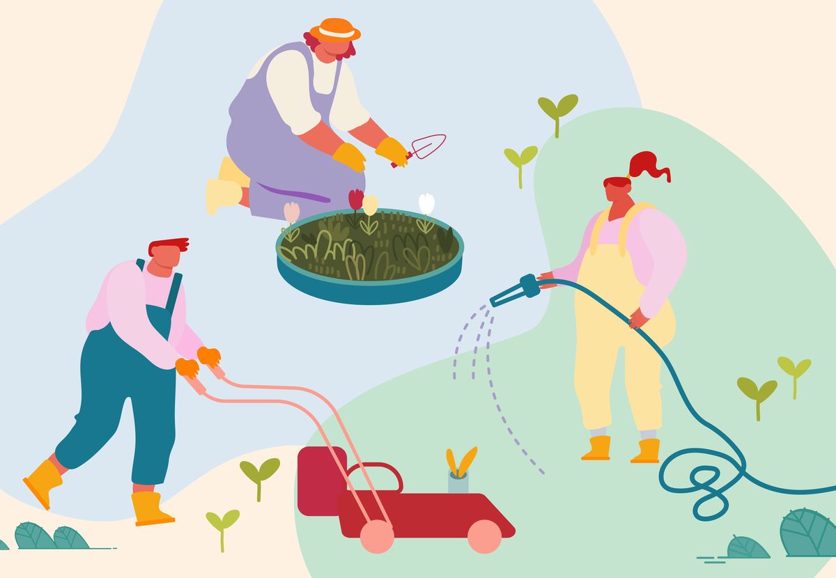 365 day timeline of caring for your lawn