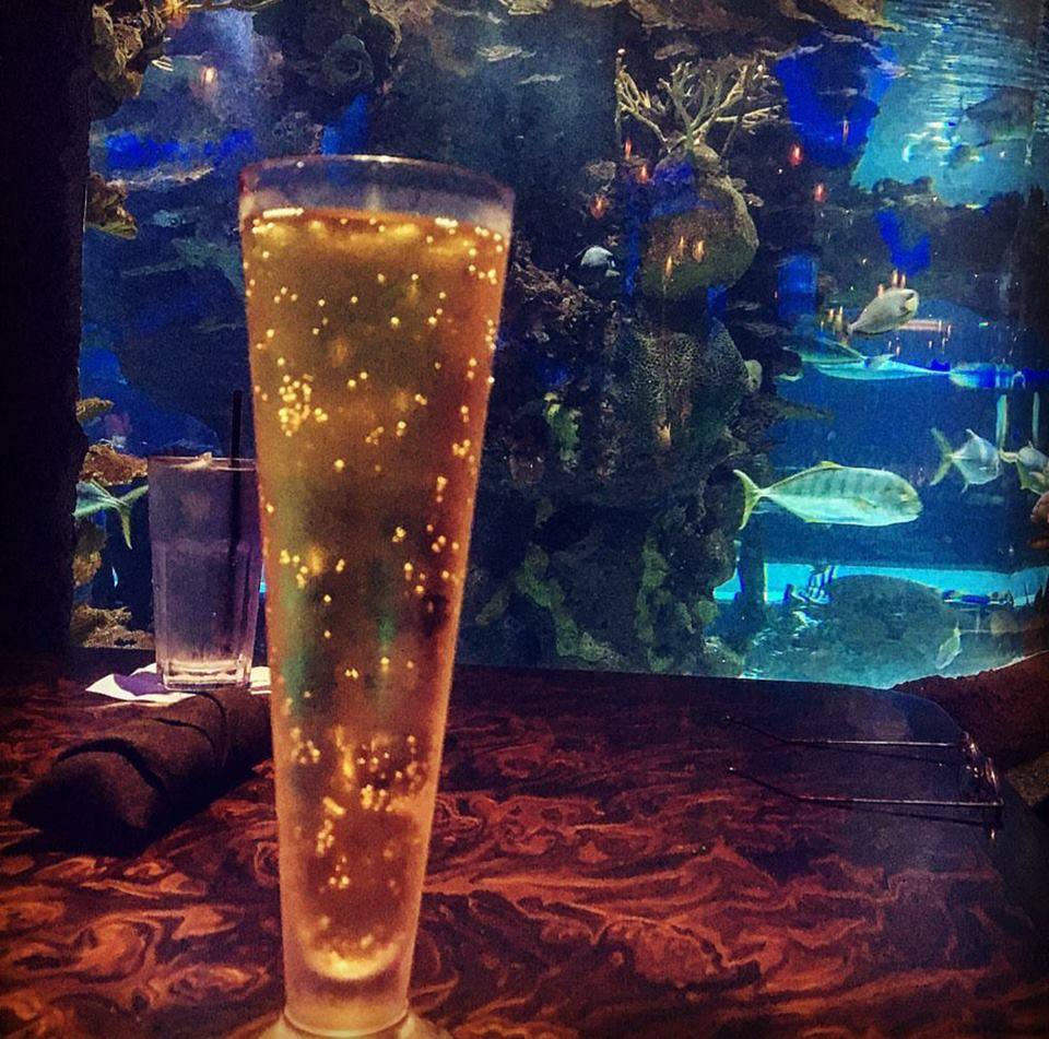 Drink, Blue, Beer, Alcoholic beverage, Pint glass, Liqueur, Beer glass, Distilled beverage, Pint, Glass, 