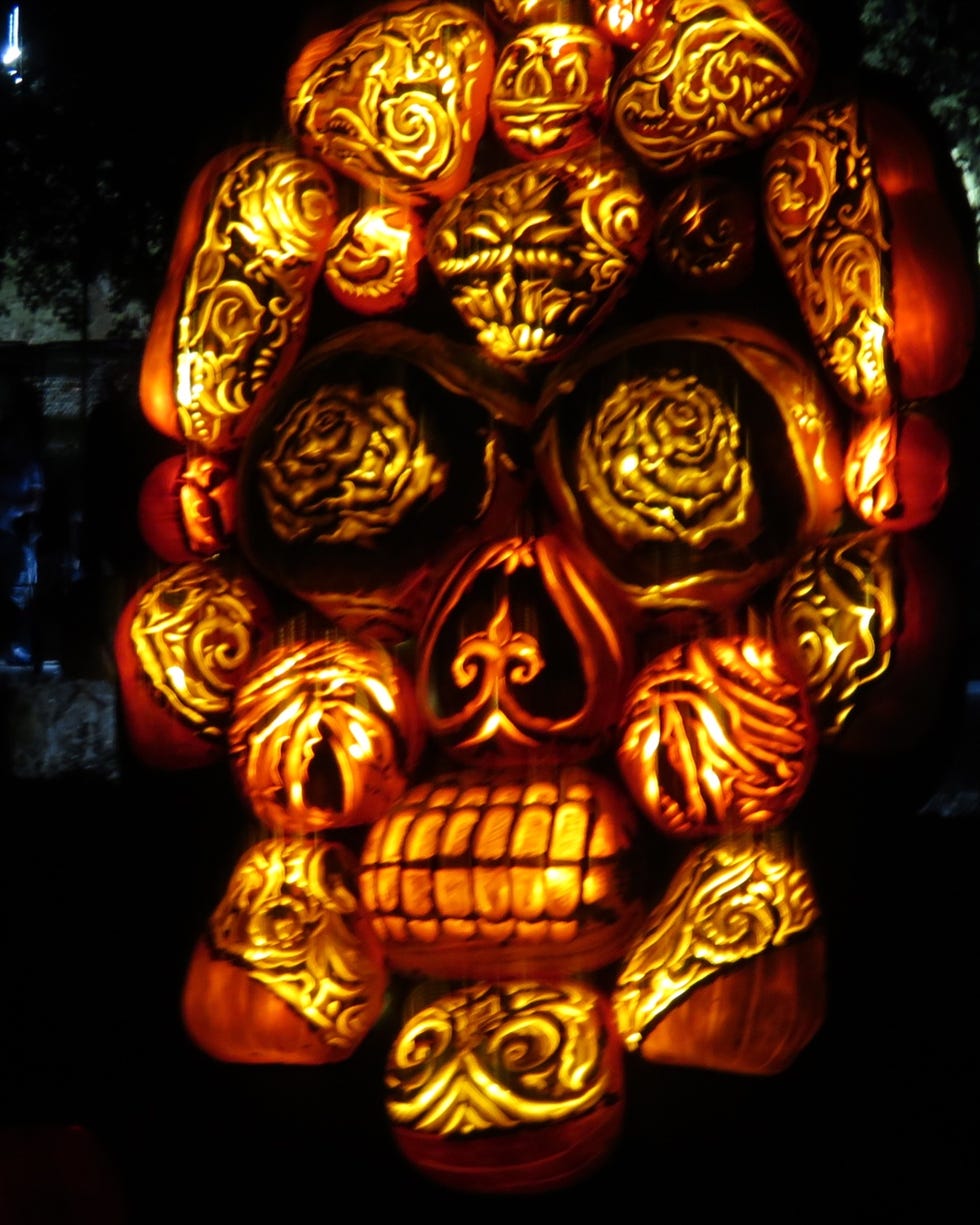 Light, Lighting, Skull, Nightlight, Darkness, Night, Bone, Lighting accessory, Art,