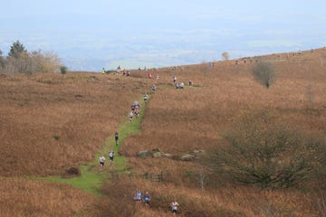 sugar loaf race