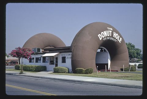 donut shaped donut shop