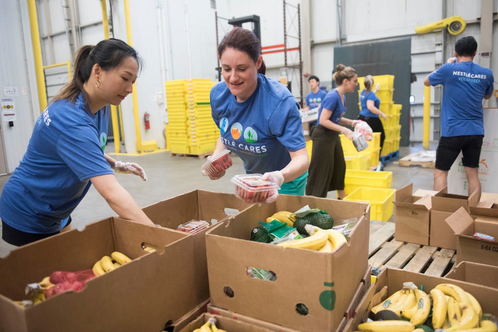 Community, Yellow, Organism, Child, Room, Recreation, Plant, Local food, Cardboard, 