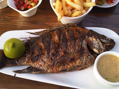 Gebakken tilapia in Isral