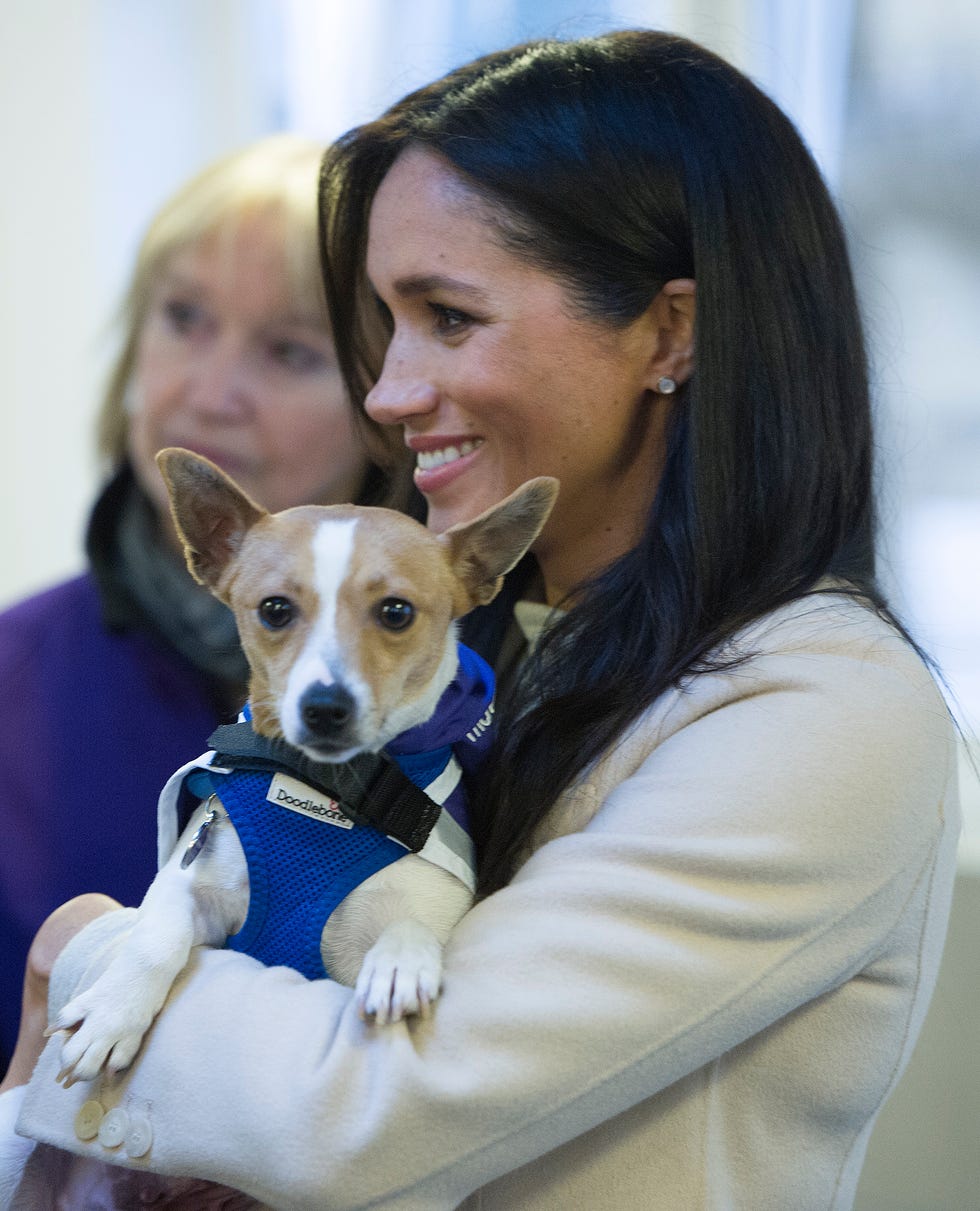 The Duchess Of Sussex Visits Mayhew