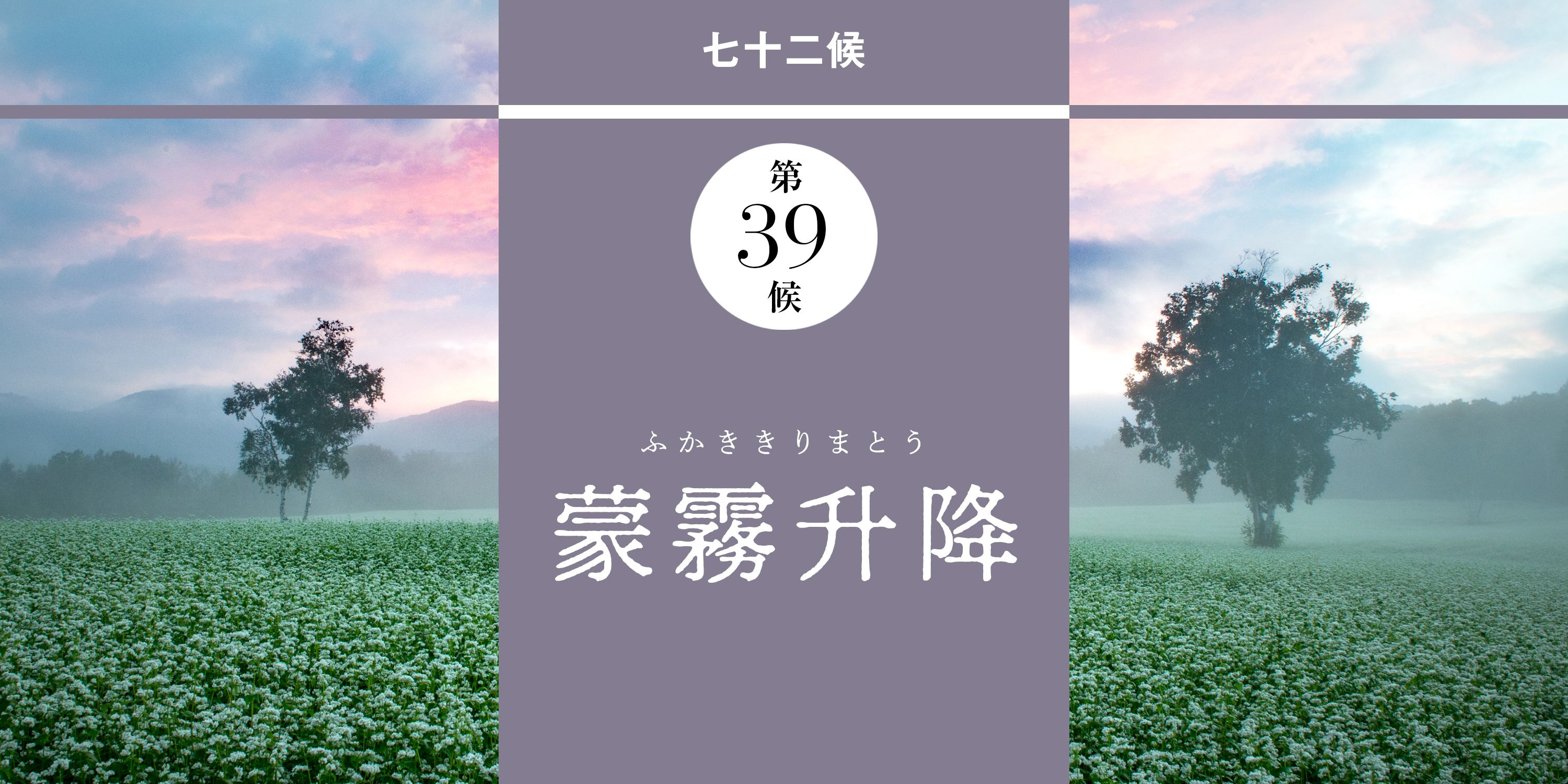 立秋】の歳時記丸わかり！暑い中にも見つかる「秋のしるし」とは﻿