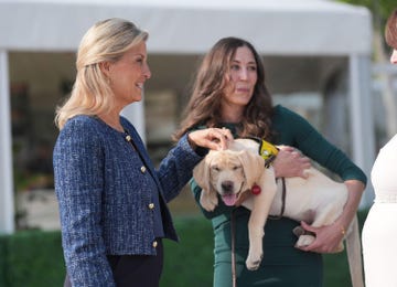 alamy live news. 3cjhkg0 the duchess of edinburgh (left) meets chantel bender with pads morley at the pacific assistance dogs society (pads), during her visit to the founders plaza, spruce meadows, as part of her visit to canada. picture date: sunday september 7, 2025. this is an alamy live news image and may not be part of your current alamy deal . if you are unsure, please contact our sales team to check.