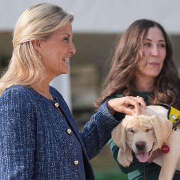 alamy live news. 3cjhkg0 the duchess of edinburgh (left) meets chantel bender with pads morley at the pacific assistance dogs society (pads), during her visit to the founders plaza, spruce meadows, as part of her visit to canada. picture date: sunday september 7, 2025. this is an alamy live news image and may not be part of your current alamy deal . if you are unsure, please contact our sales team to check. alamy live news. 3cjhkg0 the duchess of edinburgh (left) meets chantel bender with pads morley at the pacific assistance dogs society (pads), during her visit to the founders plaza, spruce meadows, as part of her visit to canada. picture date: sunday september 7, 2025. this is an alamy live news image and may not be part of your current alamy deal . if you are unsure, please contact our sales team to check.