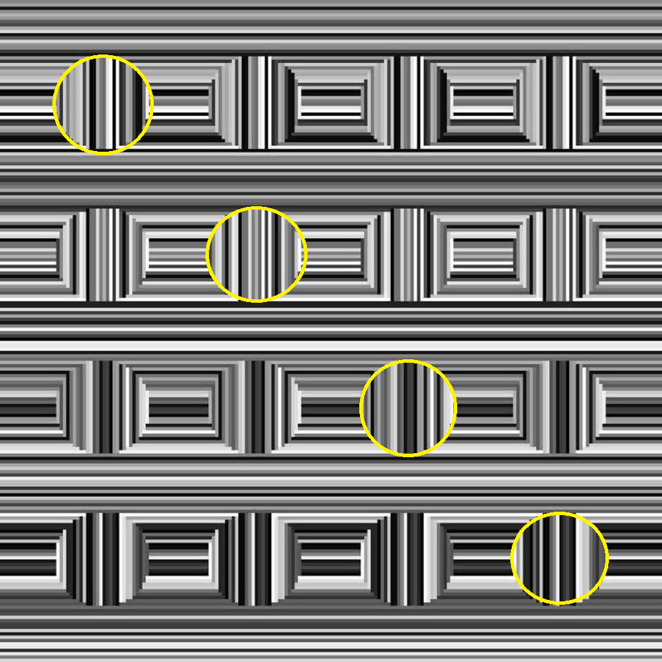 Hidden Circles Optical Illusion - How Many Circles Do You See?