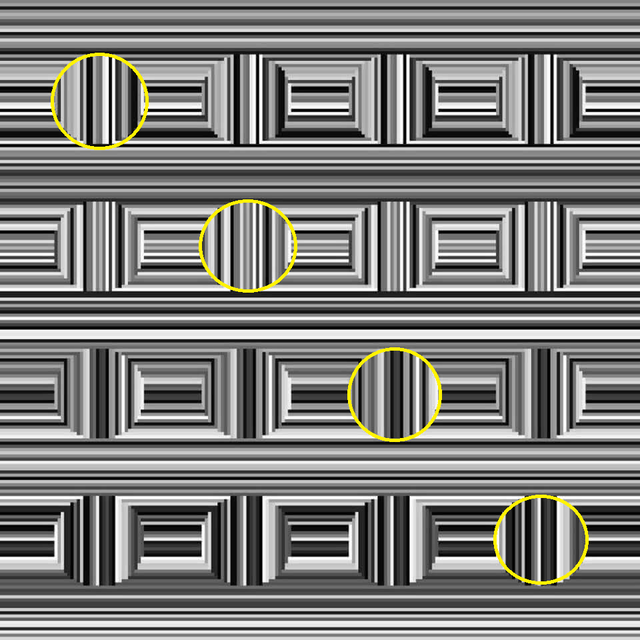 Optical illusion triggers debate about hidden number inside circle