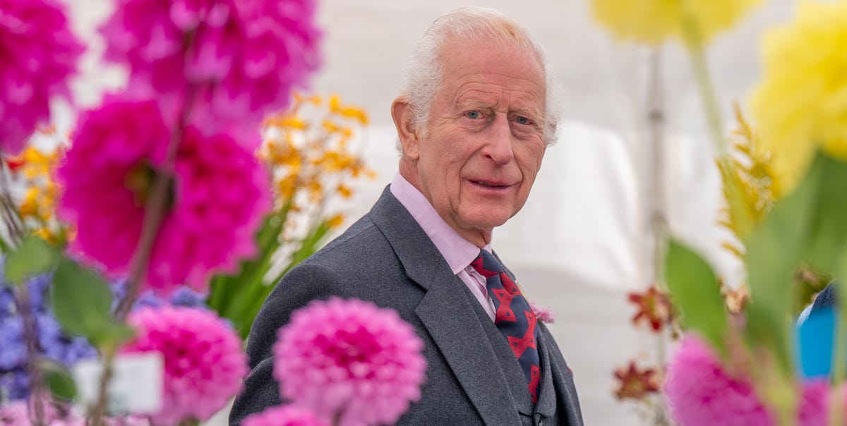 Koning Charles zet door ondanks kanker: Paleispersoneelslid onthult hoe hij werkt