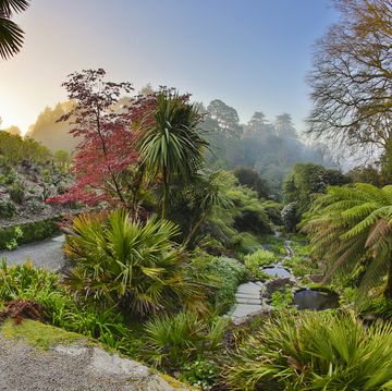 Trebah Gardens: Cornwall holidays for nature lovers