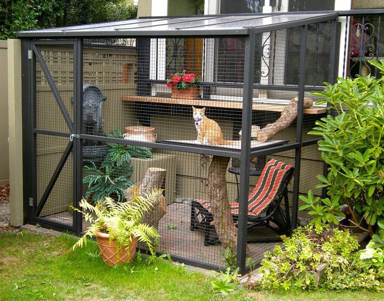 Cage, Animal shelter, Zoo, Chicken coop, Shed, Backyard, House, Building, Home, Yard, 