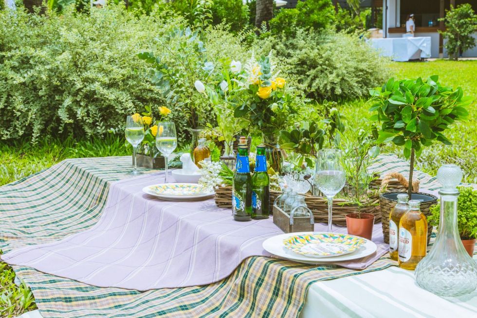 Green, Tablecloth, Table, Backyard, Botany, Garden, Plant, Tree, Furniture, Landscaping, 