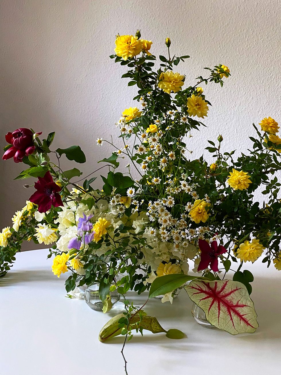 4 moncler simone rochalive floral workshop