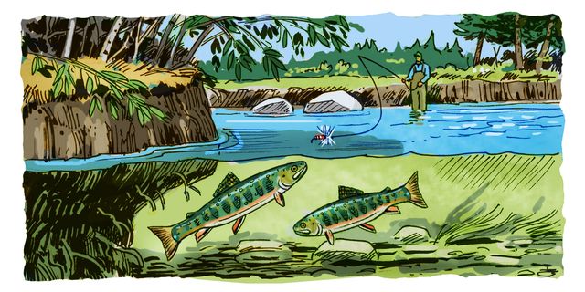 How To Get Started in Fly Fishing