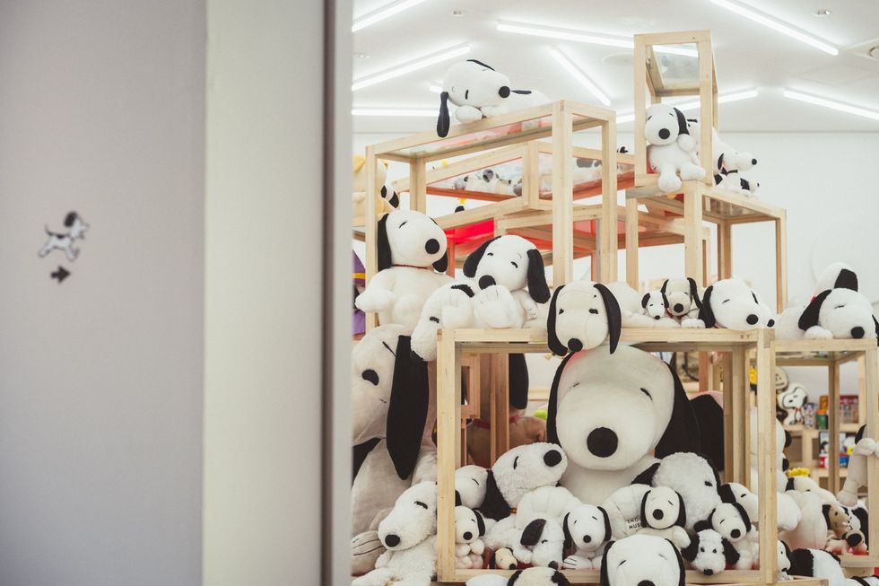 a group of pandas in a room