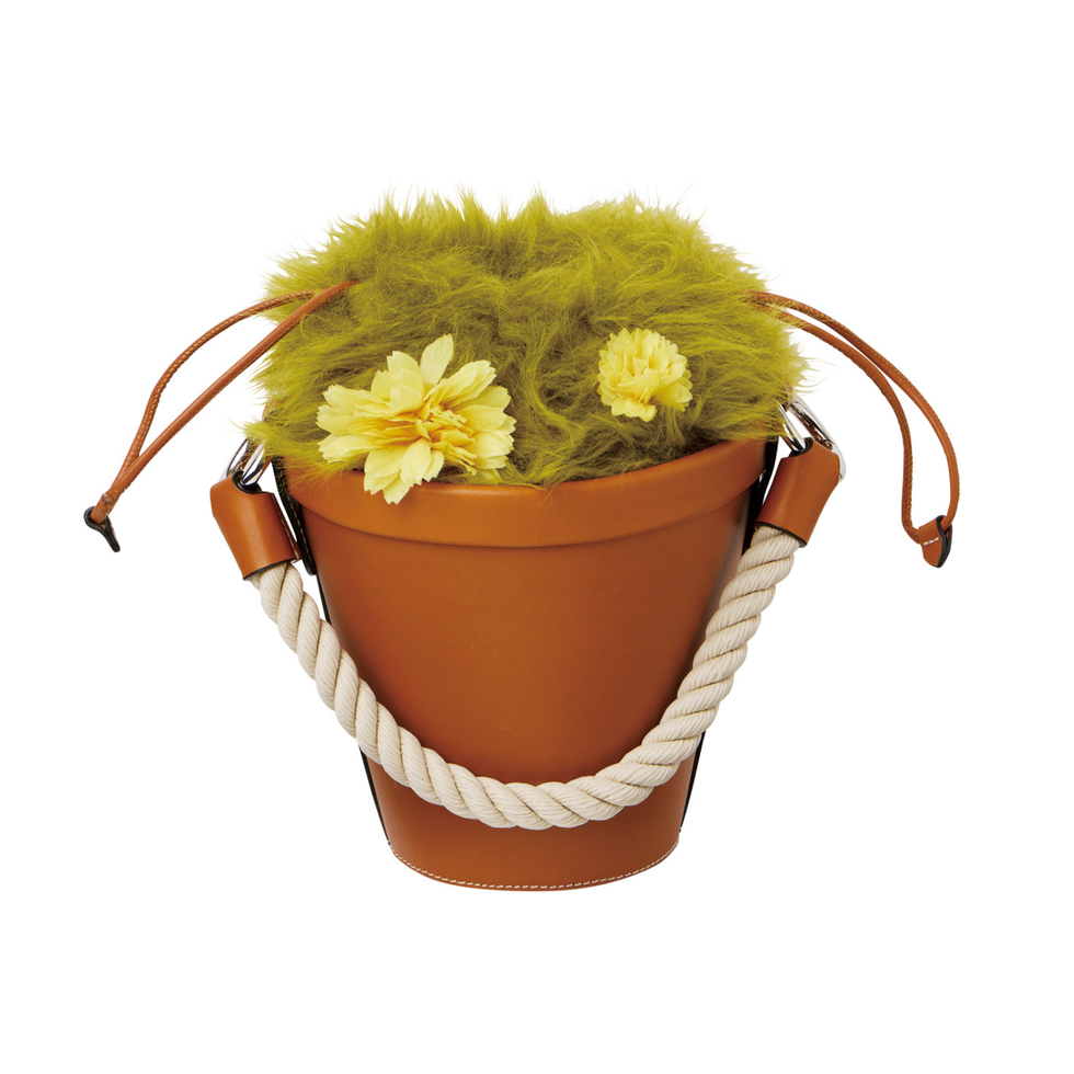 a potted cactus with yellow flowers