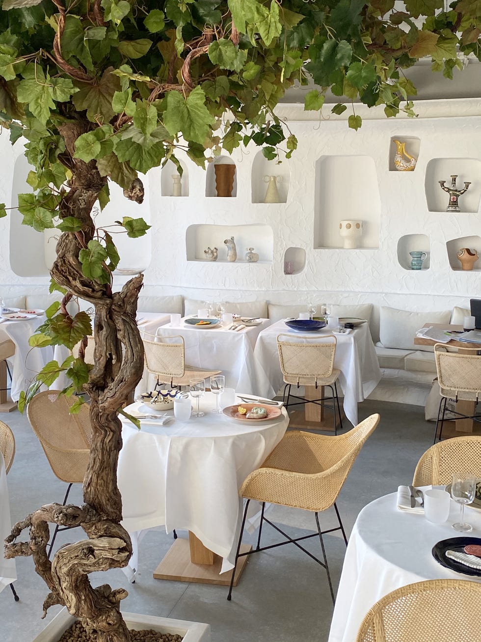 oursin restaurant in paris by simon jacquemus