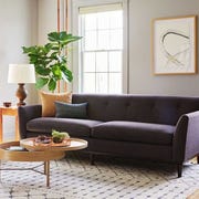 sofa with plant in corner sofa with plant in corner