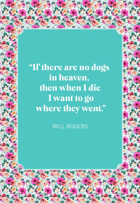 dog quotes will rogers