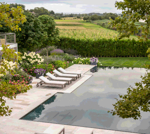 hollander garden pool