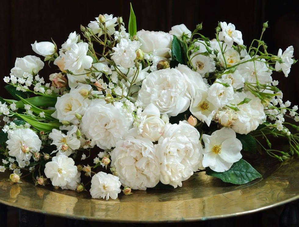 Flower, Flowering plant, Flower Arranging, Floristry, White, Bouquet, Plant, Cut flowers, Floral design, Garden roses, Flower, Flowering plant, Flower Arranging, Floristry, White, Bouquet, Plant, Cut flowers, Floral design, Garden roses,