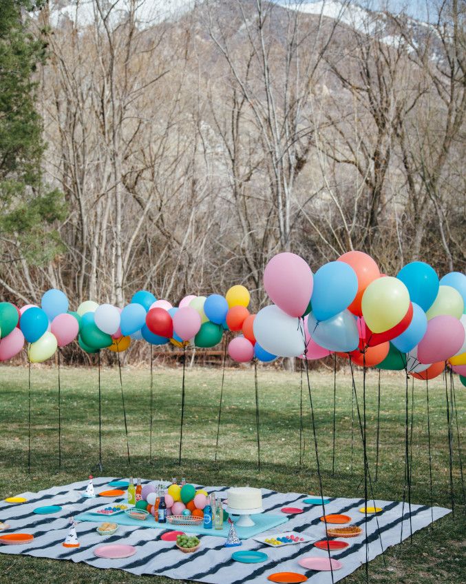 40th birthday party ideas picnic
