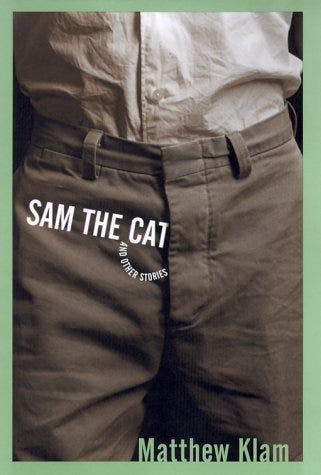 sam the cat sam the cat