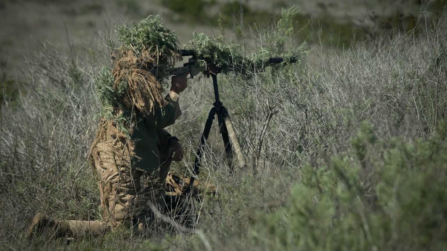marine corps sniper rifle m40a5