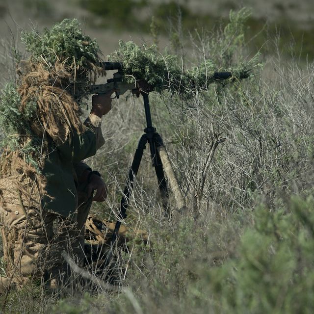 Soldier, Military camouflage, Wildlife, Grass, Military organization, Grass family, Airsoft, Camouflage, Ghillie suit, Tree, 
