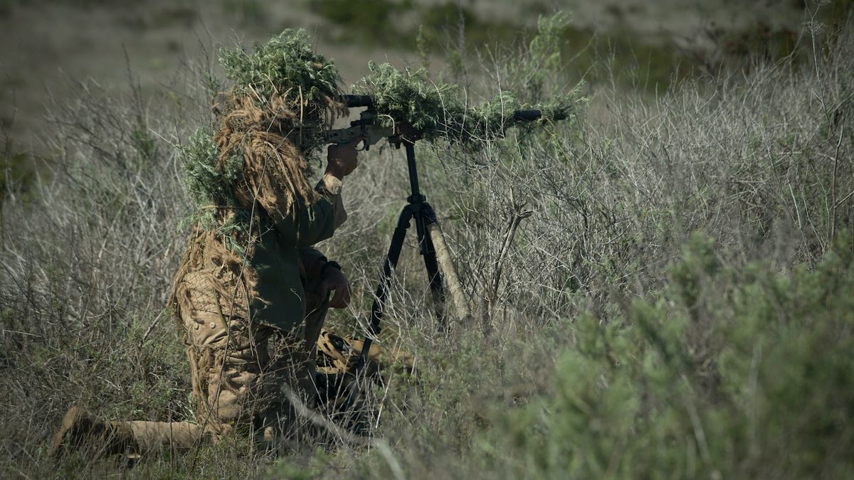 Soldier, Military camouflage, Wildlife, Grass, Military organization, Grass family, Airsoft, Camouflage, Ghillie suit, Tree, 