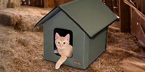 6 Best Outdoor Cat Houses of 2023 - Top Feral Cat Shelters