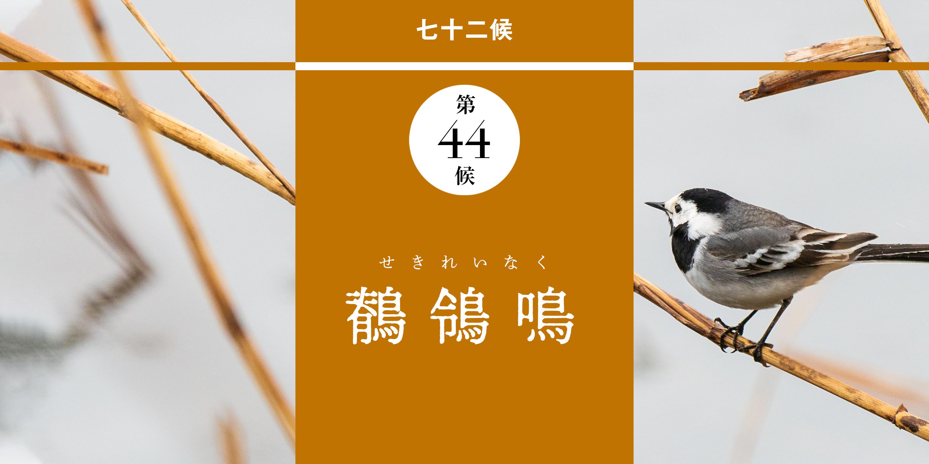 セン（草冠に全）廬（せんろ）印譜続集 白紅社 昭和32年 - 書道