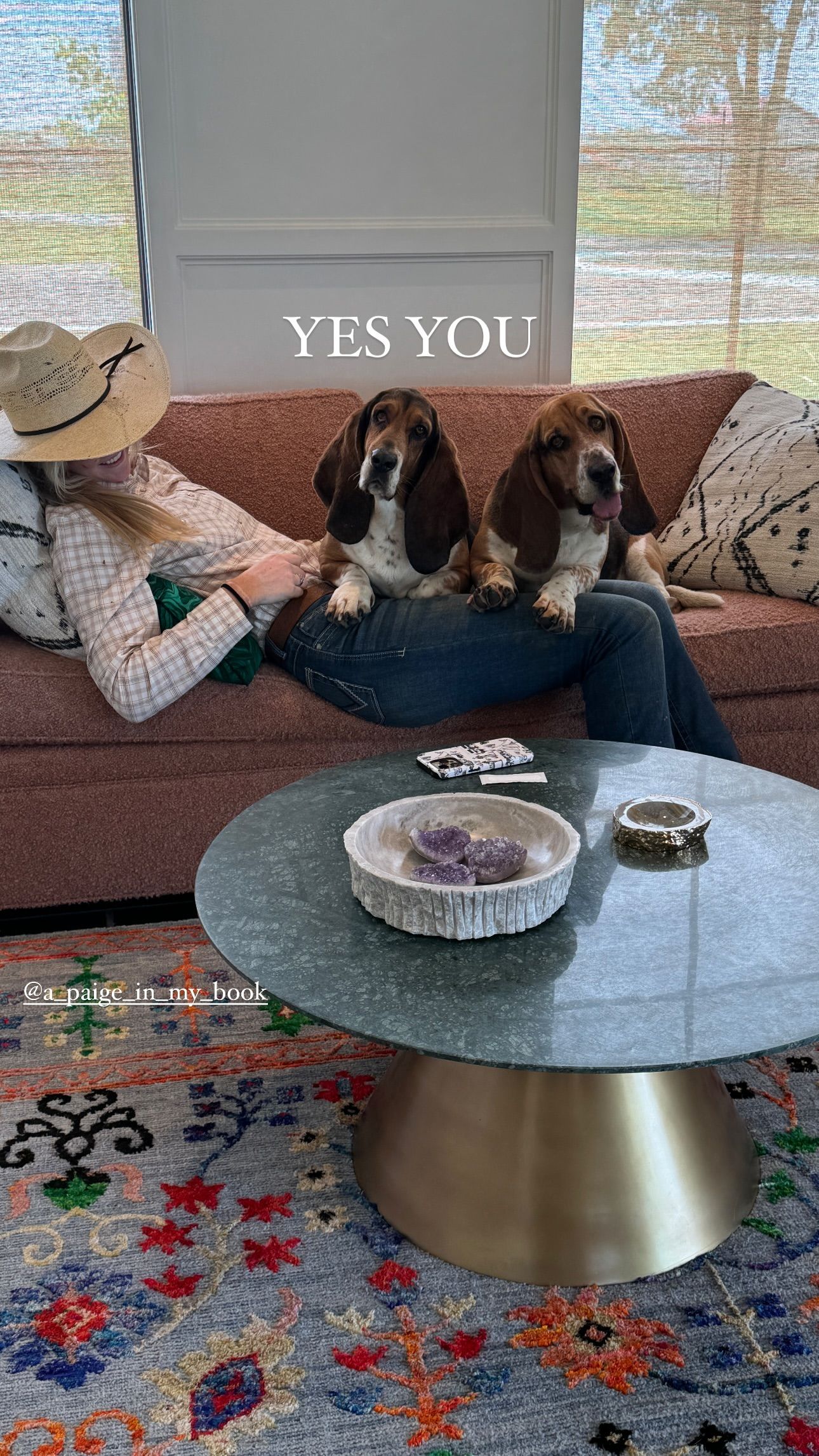 Basset hound with cowboy hat best sale