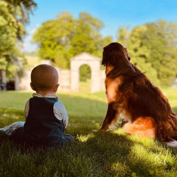 a dog and a child sitting in grass