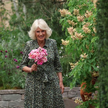 Chelsea Flower Show 2025 Chelsea Flower Show 2025