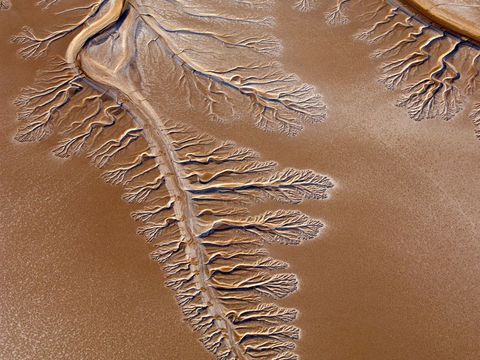Fraaie vertakkingen vormen nu de uitgedroogde delta van de rivier de Colorado