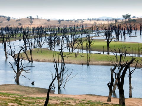 In Australi bevinden grote delen van de deelstaten Victoria en NieuwZuidWales zich in de greep van een ongekende droogte die nu al tien jaar aanhoudt Het waterpeil in de rivieren is sterk gedaald en stuwmeren bevatten nog maar een fractie van hun maximale capaciteit Lake Hume het grootste stuwmeer in Australi was bedoeld om boeren langs de benedenloop van de rivier de Murray van irrigatiewater en de stad Adelaide van drinkwater te voorzien Op de dag dat deze foto werd genomen bevatte het meer 196 procent van zijn maximale capaciteit Tegen het einde van de zomer van 2009 was de capaciteit gedaald naar 21 procent Dit soort zware episoden van droogte zullen als gevolg van de klimaatverandering waarschijnlijk steeds vaker voorkomen