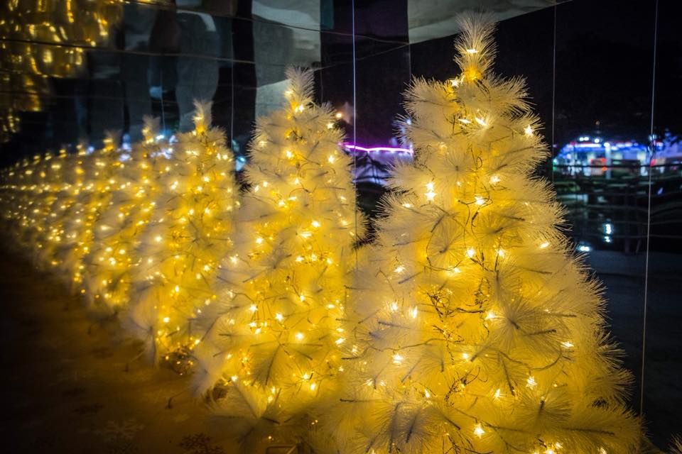 Christmas tree, Yellow, Light, Tree, Christmas, Christmas decoration, Lighting, Christmas lights, Night, Plant, 