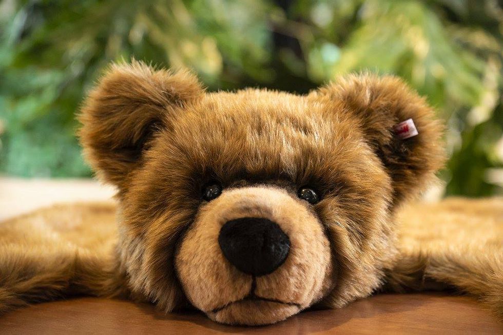 【ELLE怪奇物語】潮流教父藤原浩把 Steiff 泰迪熊做成「熊皮地毯」... 這個設計太狠心了！