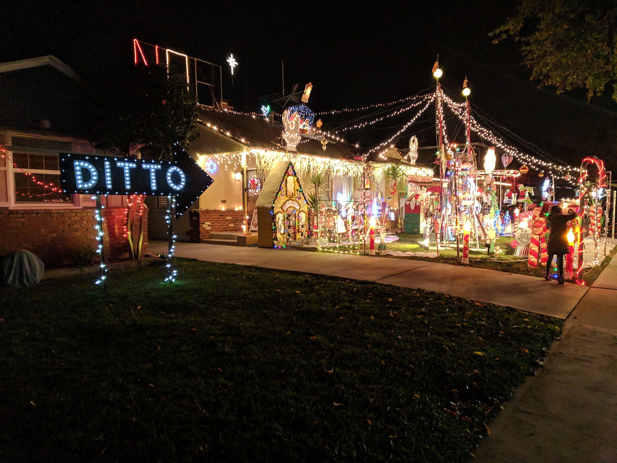 Ditto christmas store lights