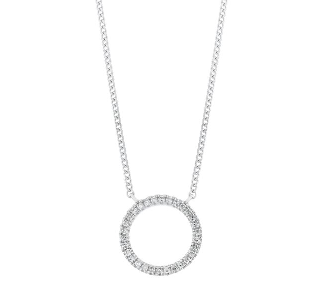 Jewellery, Necklace, Fashion accessory, Pendant, Body jewelry, Chain, Locket, Silver, Circle, Metal, 