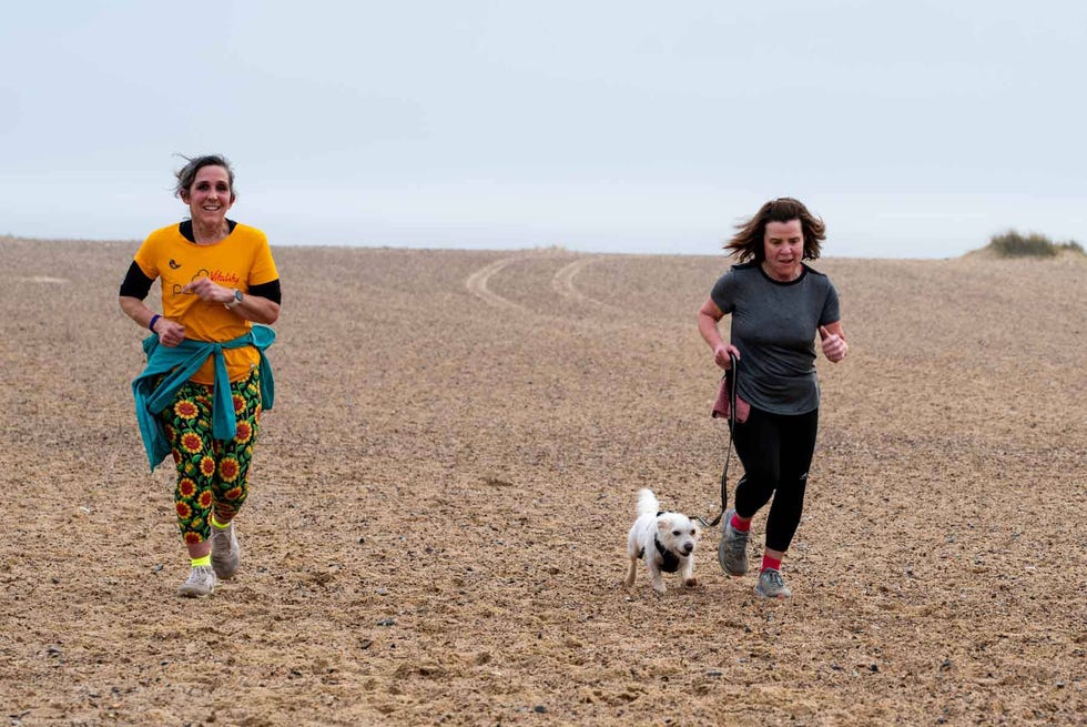 two individuals jogging on the beach accompanied by a small dog