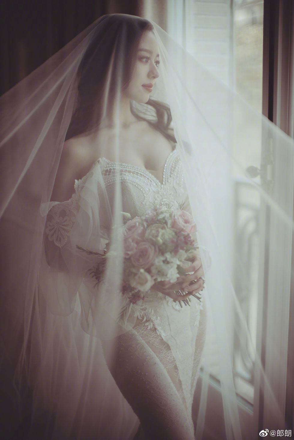 Bridal veil, Veil, Photograph, Bridal accessory, Wedding dress, Bride, Dress, Beauty, Bridal clothing, Gown, 