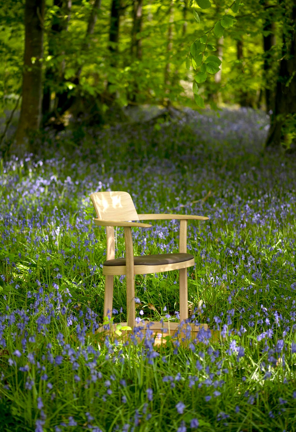 bodleian libraries chair barber osgerby