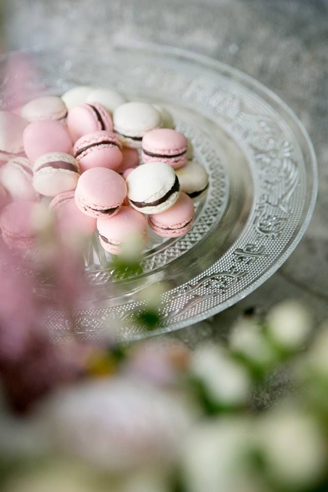 Pink, Sweetness, Macaroon, Hand, Plant, Photography, Food, Cuisine, Pill, 